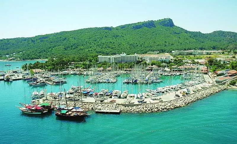 وایکینگ نونا